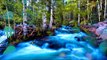 Расслабляющая музыка с музыкой природы - прекрасный водопад, природа звучит для изучения