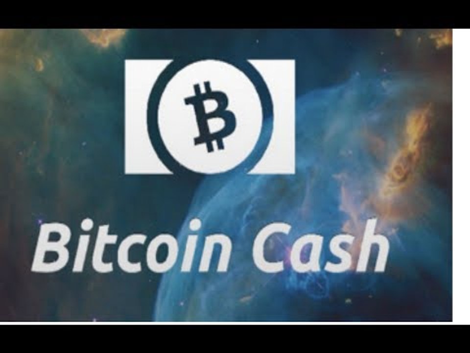 Porque Preço Bitcoin Cash Esta Caindo, Até que Ponto Continuara? Preço TOP 5 Moedas Virtuais