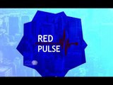 Que é Moeda Virtual Red Pulse e Como Funciona - Plataforma de Análise de Investimentos Red Pulse RPX