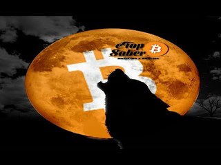 Grande Correção Bitcoin ou Bear Market? Porque BTC Continua Caindo? BCH Mata Bitcoin? Respostas Aqui