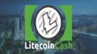 Hard Fork da Litecoin Cash - Função Litecoin Cash - Como Resgatar Litecoin Cash - Fork Com Segurança