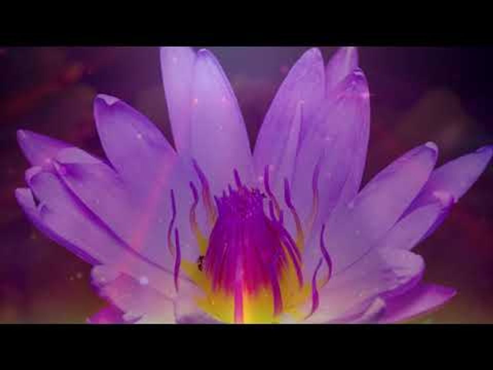 Beruhigende und friedliche Sonnenuntergang Musik, entspannende Instrumentalmusik Piano