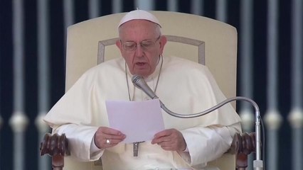 교황 "남북지도자, 평화의 장인 되길" 성공 기원 / YTN