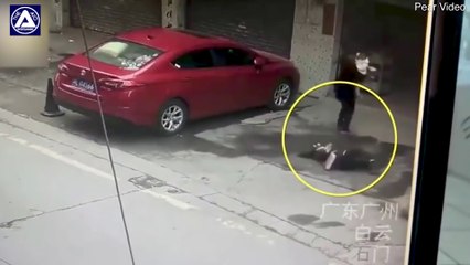 Une passante assommée par un chien qui tombe du toit