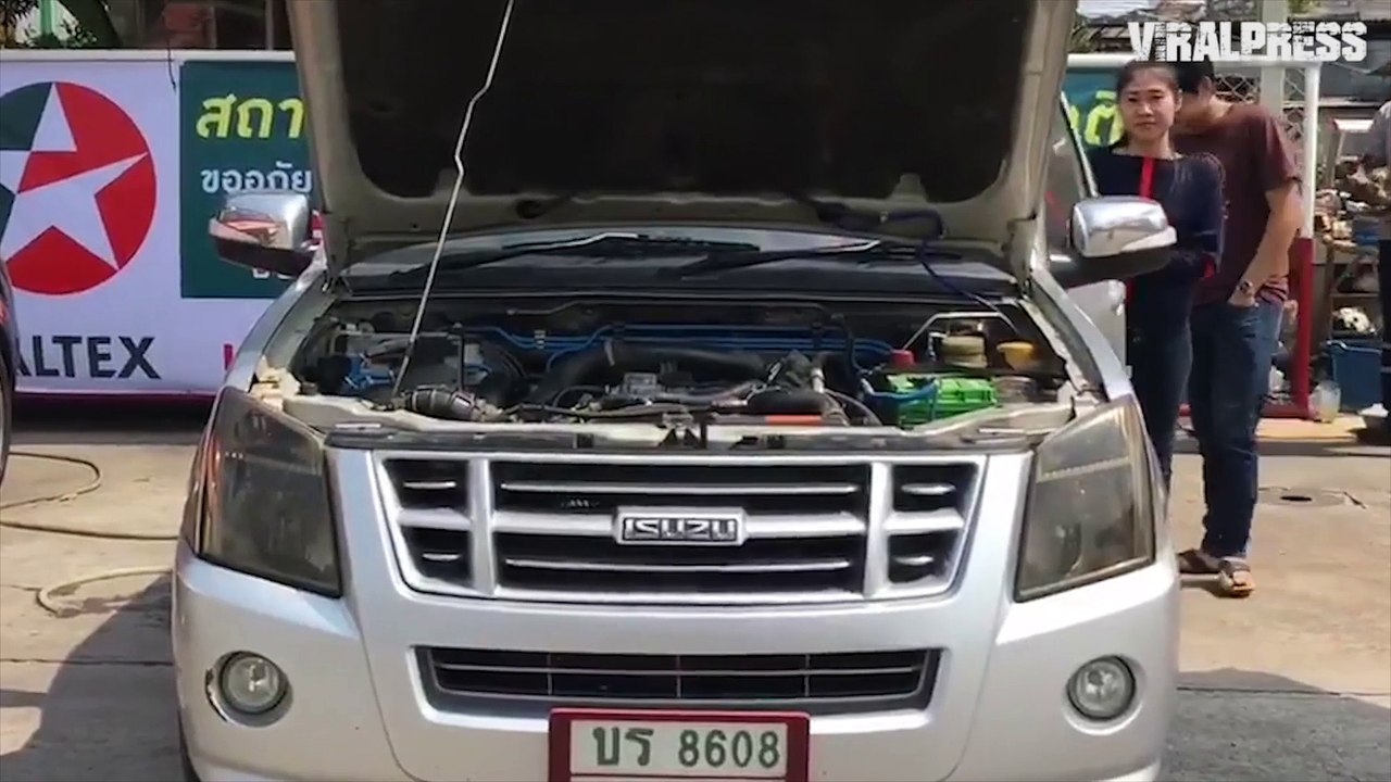 Kitten Rescued From Car Engine