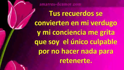La tristeza de no estar a su lado no te deja en paz y quieres que vuelva sumiso y doblegado