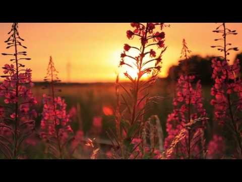 Dormir Chakra Meditación Música: Música de relajación, mente, equilibrio