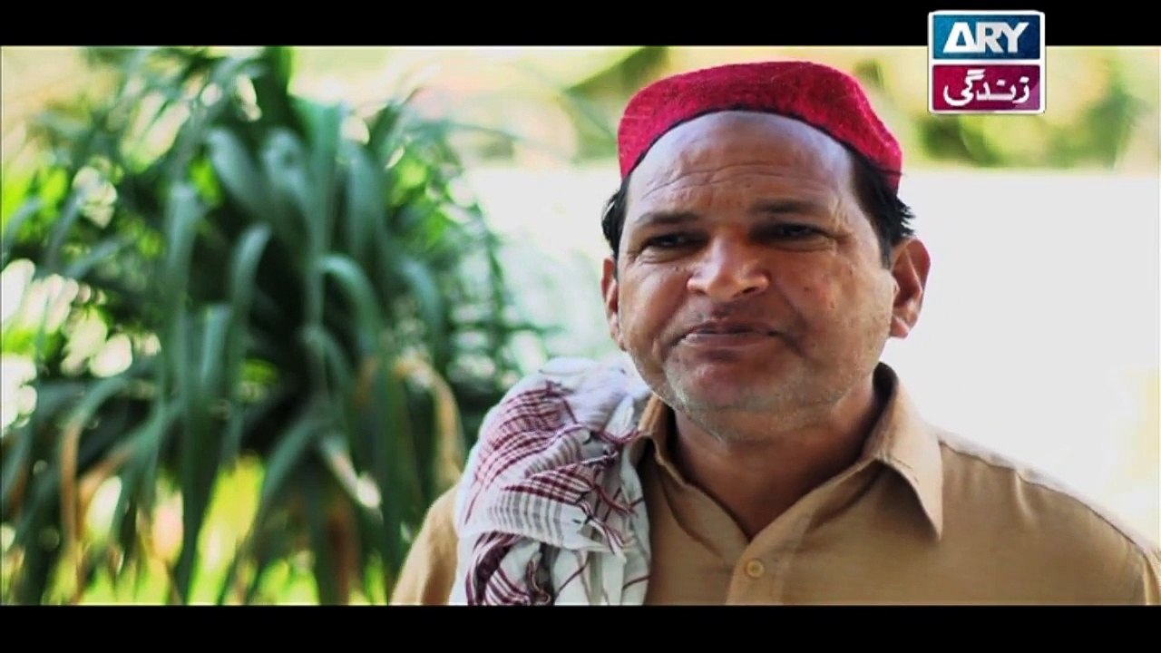 Mein Mehru Hoon Ep 112 & 113 - on ARY Zindagi in High Quality 25th April 2018