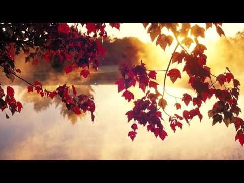 30 Minuto flauta música relajante | Energía positiva Sonidos | La meditación de la mañana