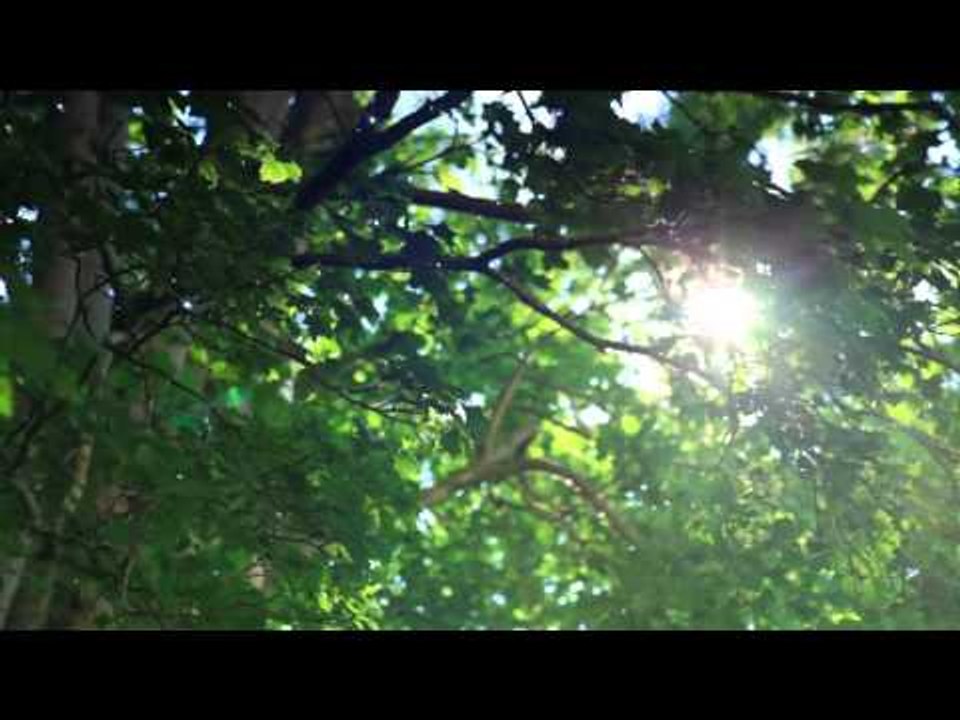 Relajante música de piano, música de relajación New Age, música de meditación, Spa música de fondo