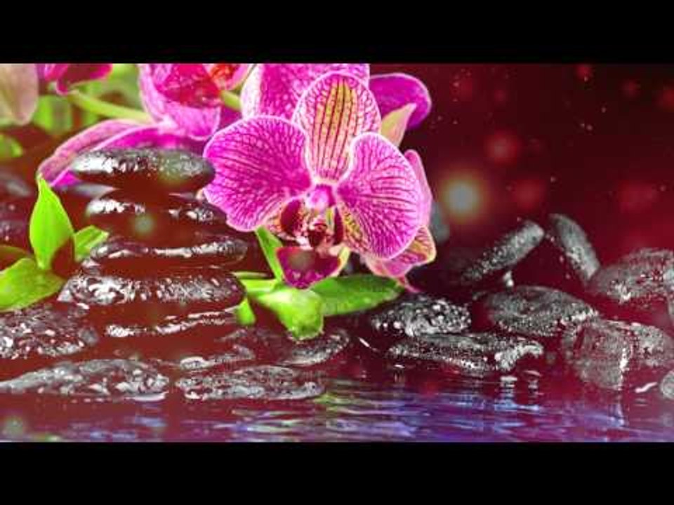 Música de profunda relajación: música de meditación profunda, alivio de estrés, música de yoga