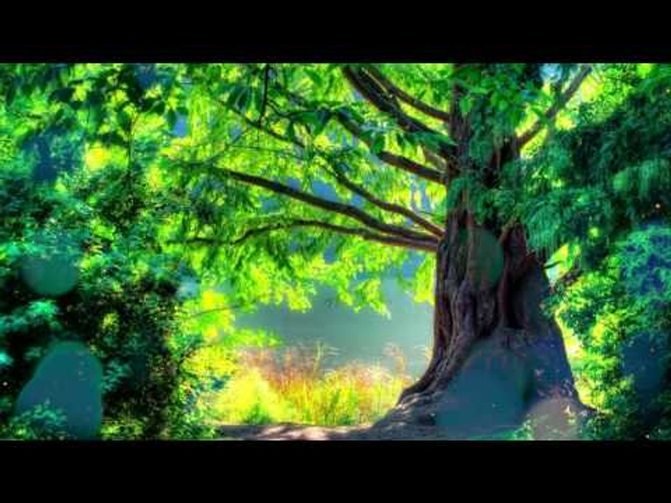 30 Minutos Musicoterapia relajante, Música suave, Relajante Escenas de la naturaleza