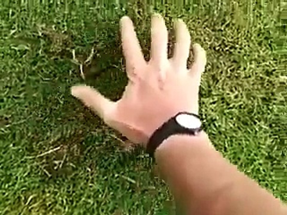 Il réussit à attraper une taupe à main nue