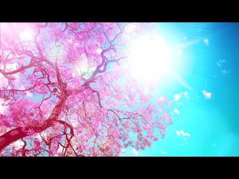 Relax Music: Relaxing Soft Piano Música para dormir y estudiar larga lista