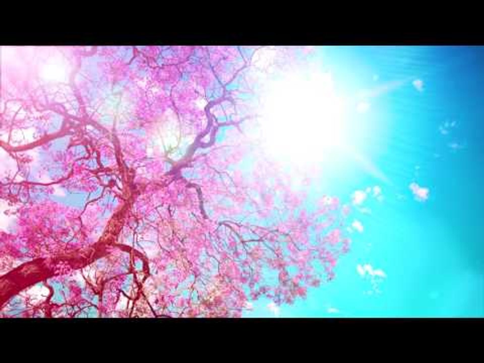 Relax Music: Relaxing Soft Piano Música para dormir y estudiar larga lista