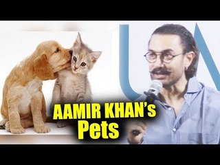 Aamir Khan का अपने पालतू जानवरो के साथ रिश्ता | Aamir Khan