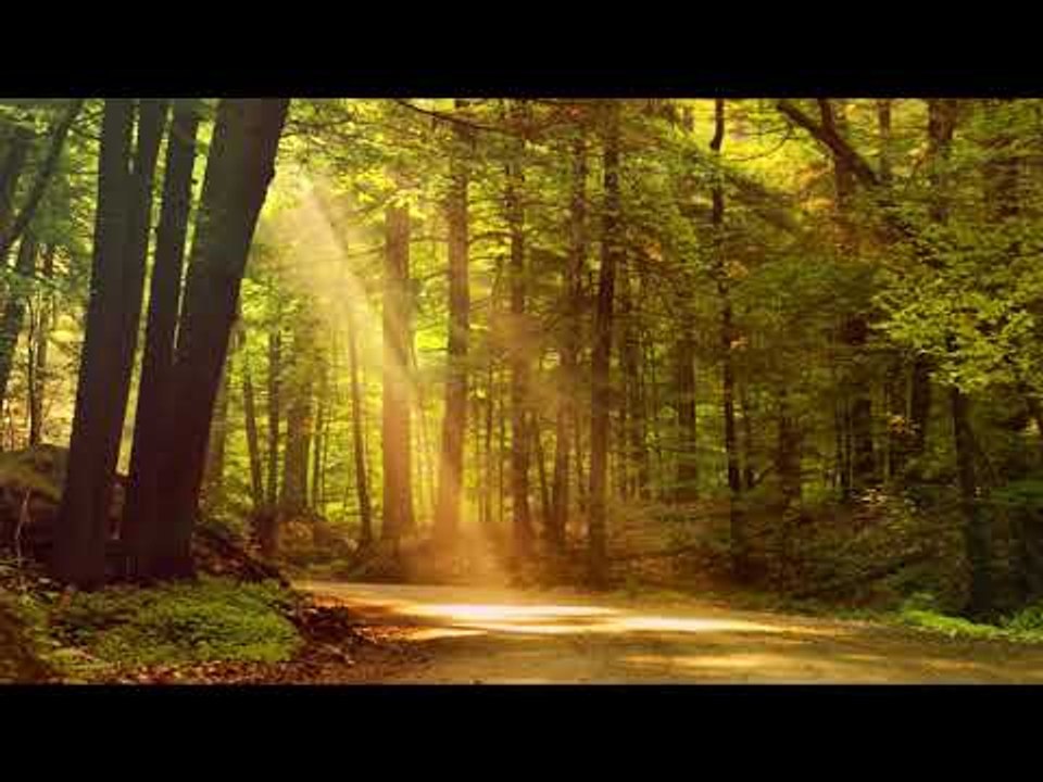 Música de guitarra relajante: Maravillosa música de guitarra, sueño profundo, meditación