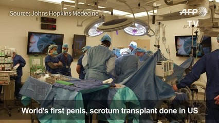 World's first penis, scrotum transplant done in US
