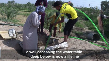 Drought tightens its grip in southern Iraq