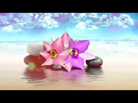 Meditación Música Relax cuerpo de la mente | Relajación Música | Meditación, yoga, spa