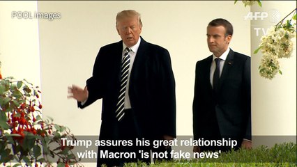 Trump hails his relationship with Macron