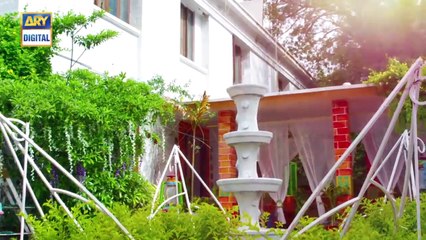 Aangan Episode 25 - 25th April 2018 - ARY Digital Drama