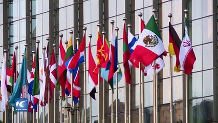 Iniciativa La Franja y la Ruta un camino hacia la prosperidad global