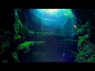 1 Hour Deep Meditation Música: Relax Mind Body, Sonidos naturales, Paz interior, Música relajante