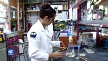 UNAM trabaja en microorganismos para degradar plástico