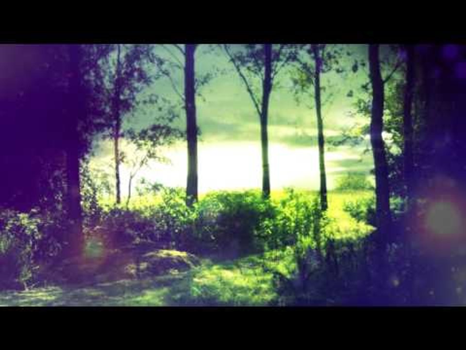 30 Minutes Deep Meditation Música: Sonidos naturales, Música relajante, Música calmante