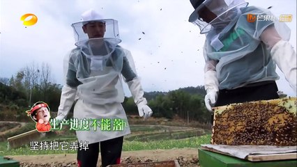 《向往的生活2》：黄磊“向往的生存学”第一课！中年碰瓷天团技能亲授彭昱畅 Back to Field S02【湖南卫视官方频道】