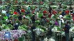 Floricultores colombianos preparados frente al fenómeno del Niño