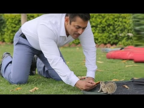 Salman Khan Feeds Squirrel On The Sets Of Prem Ratan Dhan Payo