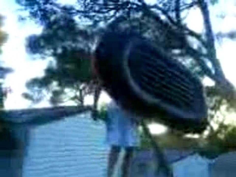 MOV01613