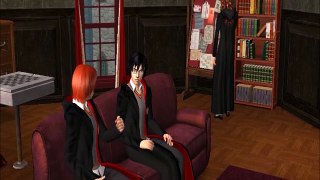 harry potter and the Order of Phoenix  chapter 12 sims 2