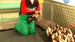 Derrame de petróleo del cabo amenaza pingüinos