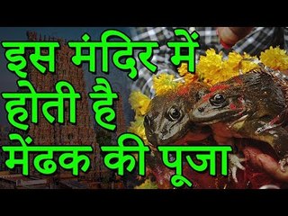 इस मंदिर में होती है मेंढक की पूजा | Amazing Facts