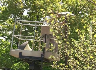 Počela zamena uličnih svetiljki LED rasvetom, 28. april 2018. (RTV Bor)