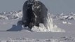 Royal Navy Submarine Breaks Through Ice During Arctic Exercise With US Sailors