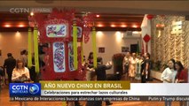 Celebraciones para estrechar lazos culturales entre China y Brazil
