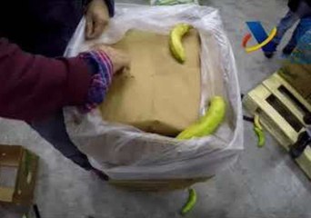 Spanish Police Make Record Cocaine Bust