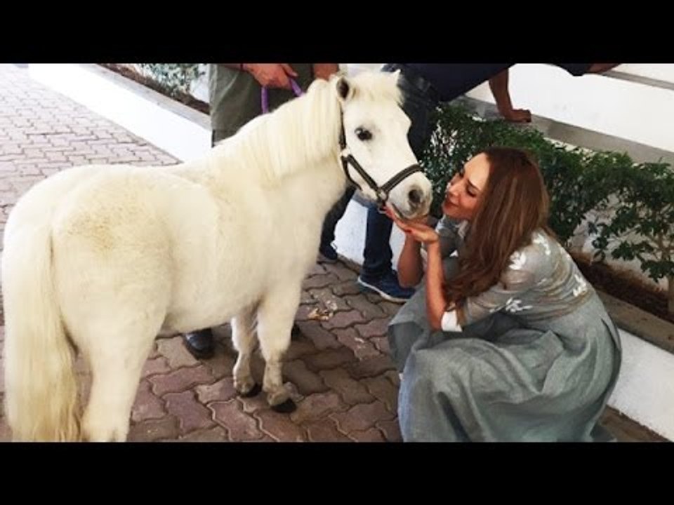 Iulia Vantur SPOTTED KISSING Horse at Salman’s Panvel farmhouse