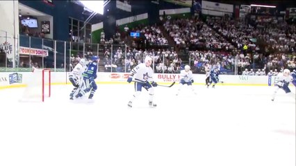 AHL Toronto Marlies 2 at Utica Comets 5