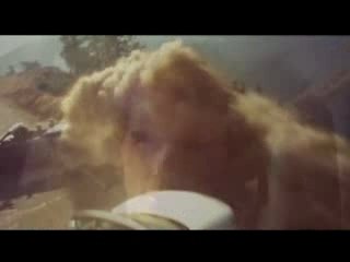 Mission: Impossible 2- M:I-2 (Featurette)