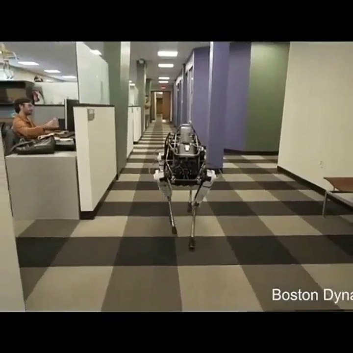 Why every one keep abusing this poor robot dog