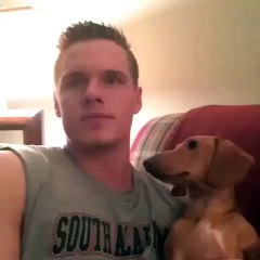 LOL when your dog has a secret crush on you