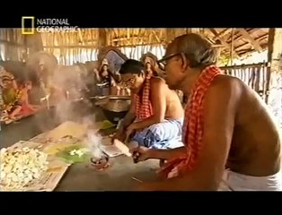 Killer Tigers of India (National Geographic Documentary)