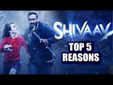 TOP 5 REASONS To Watch Shivaay - Ajay Devgn, Erika Kaar, Vir Das