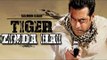 Tiger Zinda Hai | Salman Khan In Ek Tha Tiger Sequel | Confirmed