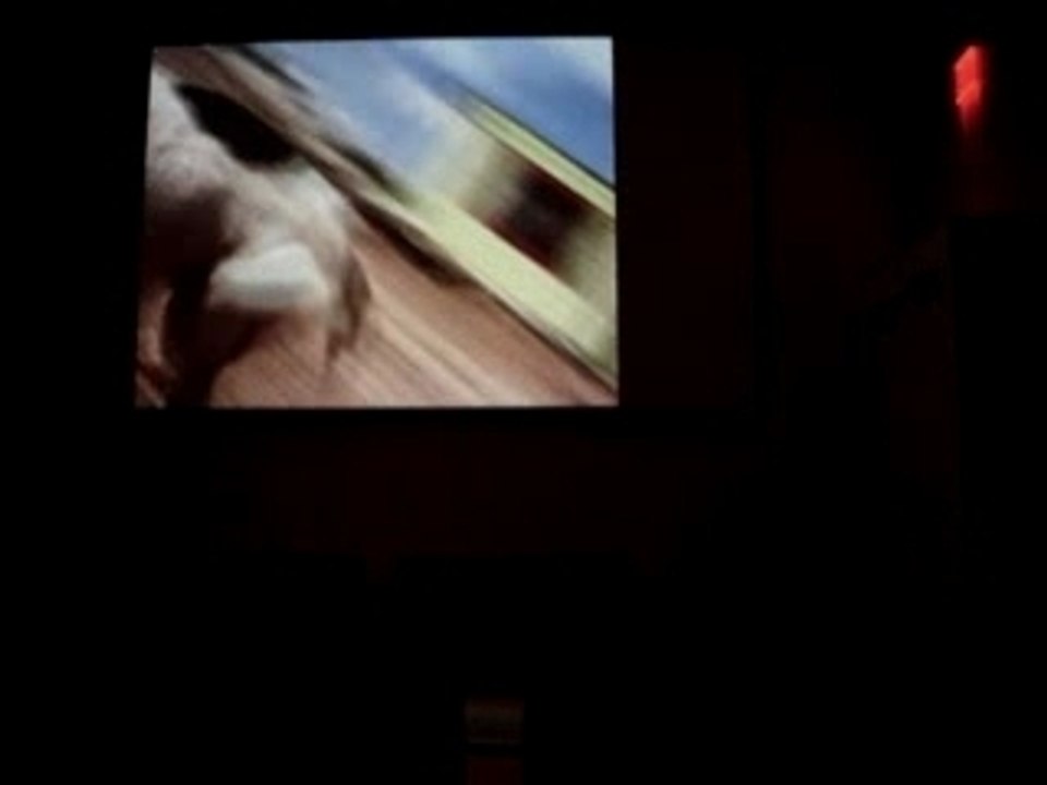 Alys' Dogs Gone Wild